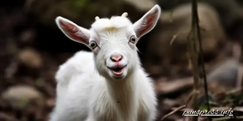 Food-Obsessed Puns for the Snack-Loving Goat in All of Us