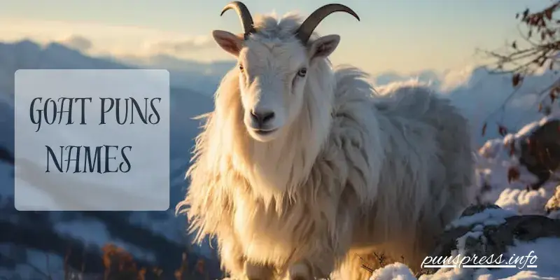 Names That'll Make Your Goat Instantly Iconic
