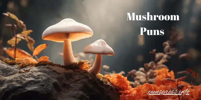 πΌ Office & Work Mushroom Puns for Your Slack Channel