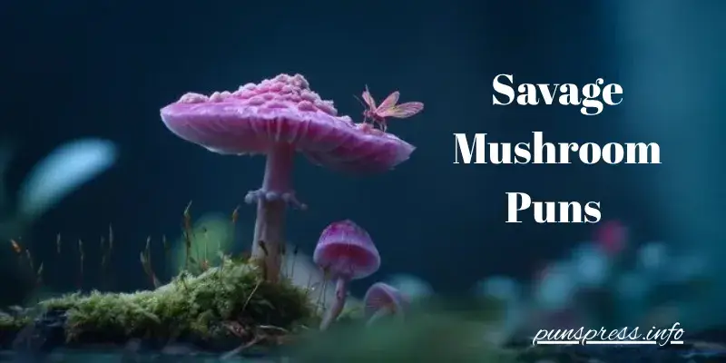 π Savage Mushroom Puns for Roasting Your Friends