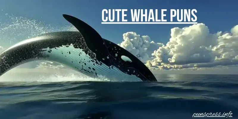 ๐ฅน Cute Whale Puns